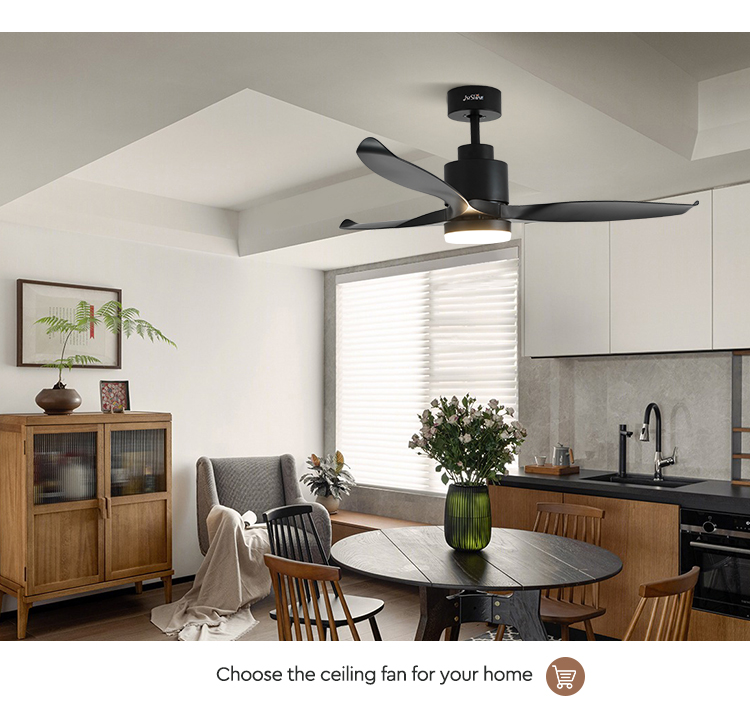 ceiling fan
