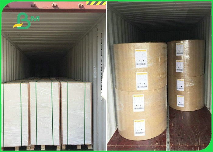 230GSM - 400GSM One Side Coated Ivory Paper Board For Industry Packaging
