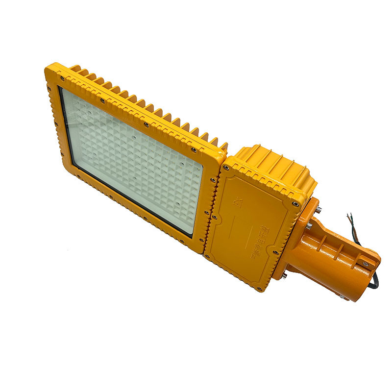 Industrial Explosion Proof Lighting Fixtures Fittings Flameproof 220V 50Hz