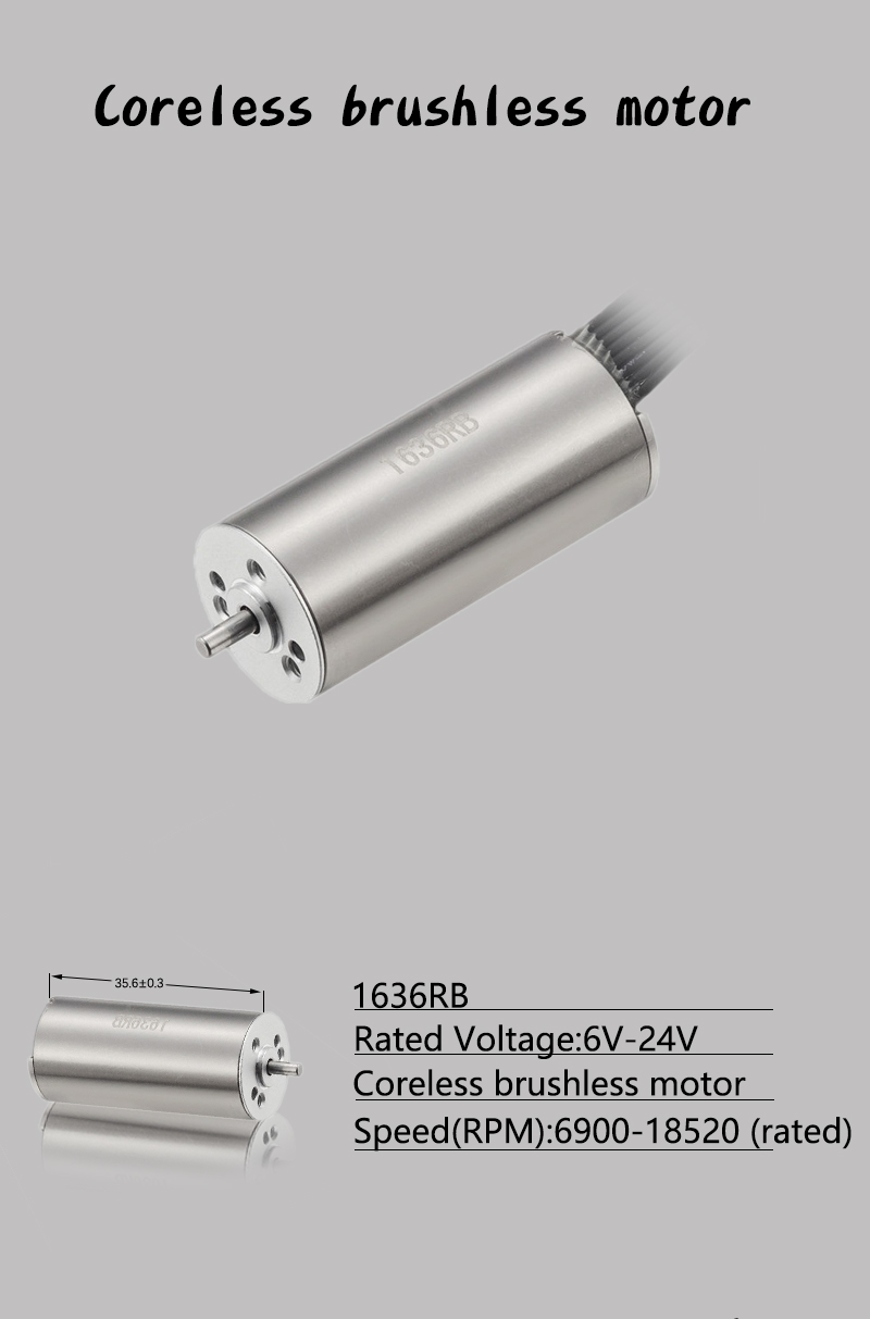 Faradyi Customized 12V 24V 16mm Mini High Quality Brushless Coreless Bldc Motor For Tattoo Machine Smart Robot