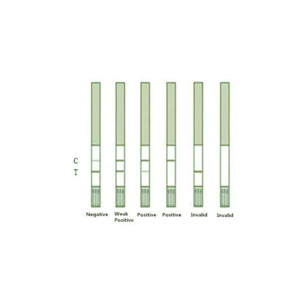 Erythromycin Rapid Milk Test Kit 96 Tests/Kit For Milk 3 To 5 Ug/Kg
