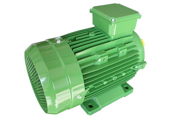 Squirrel Cage 380v Three Phase Asynchronous Motor 750w 1hp Current Rating