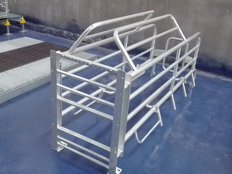 Steel Galvanized Pig Farrowing Crate Gray Color customized size with high quality
