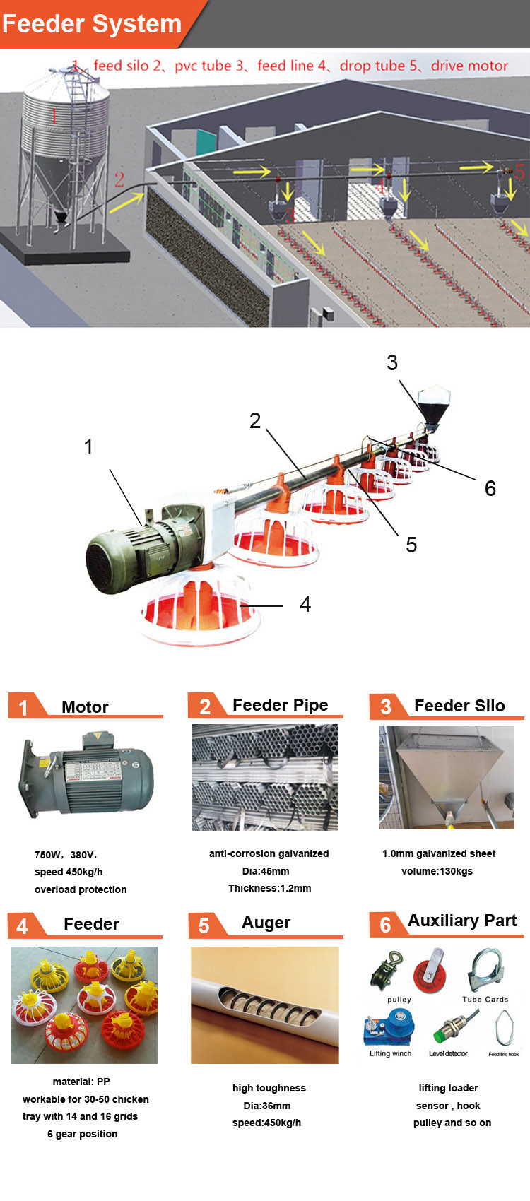 PVC Automatic Pan Feeding System