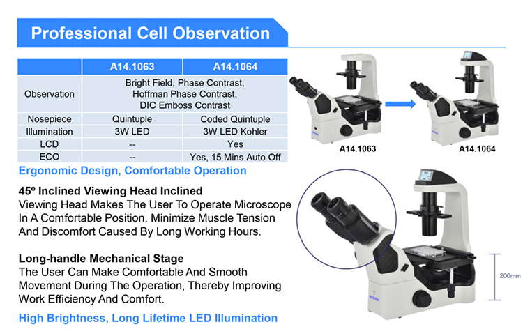 OPTO EDU A14.1064 Inclined Phase Contrast Fluorescence Microscope