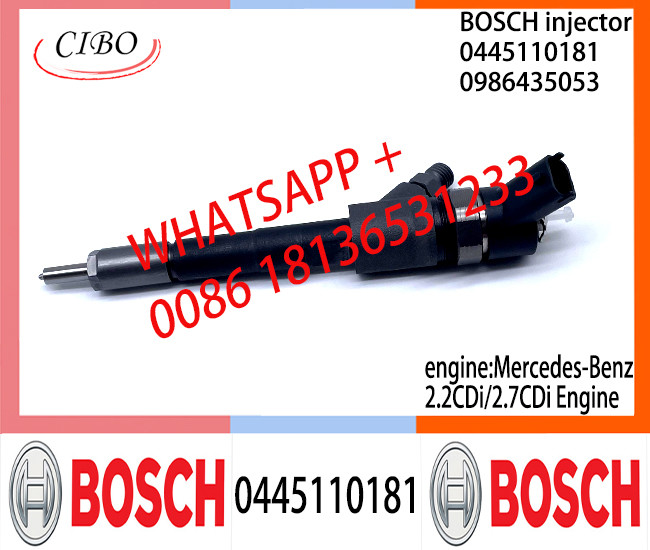BOSCH injetor 0445110181 0986435053 Common Rail fuel Injector 0445110181 0986435053 for Mercedes-Benz 2.2CDi/2.7CDi