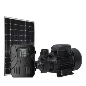 Buy cheap Deep Well Stainless Steel Solar Surface Water Pump For Water Removal Lawn Garden product