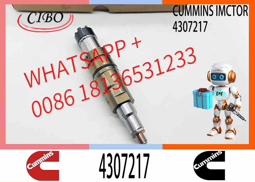 ISX QSX 5579423 4307217 Diesel Engine Parts Fuel Injector Repair Kit 5579423 4307217