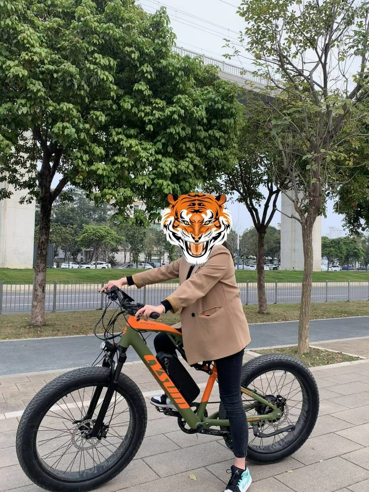 Full Suspension Fat Tire E Bike Electric Bicycle For Seniors 1000w 48v 17Ah