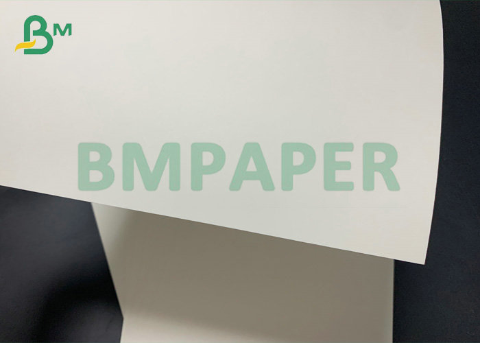Cup Paper C1S C2S 15g PE Coated Paper 185gsm 210gsm For Paper Cups