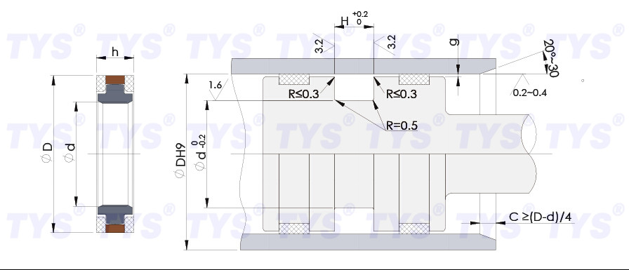 SPGW hydraulic cylinder piston seal
