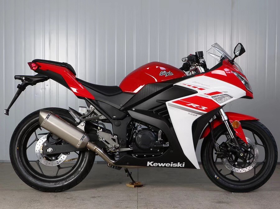 Double Cylinder Engine 350cc Sport Touring Motorcycles Front / Rear Double Dics