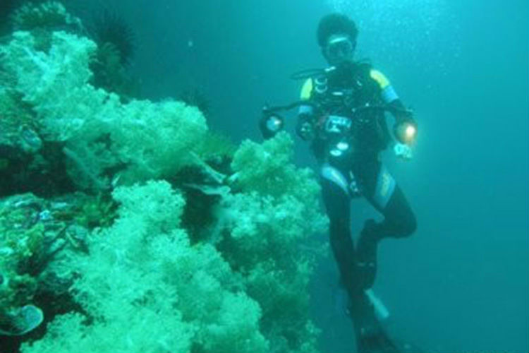 C66 High bright rechargeable Q5 LED diving flashlight