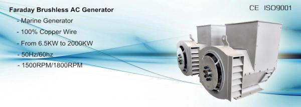 Automatic Voltage Regulator AVR SX460/SX440/MX321/MX341 for AC Generator