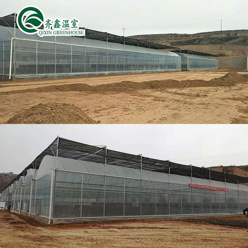 Ventilation Vents for Optimal Growth of Tomatoes and Other Vegetables in Greenhouse