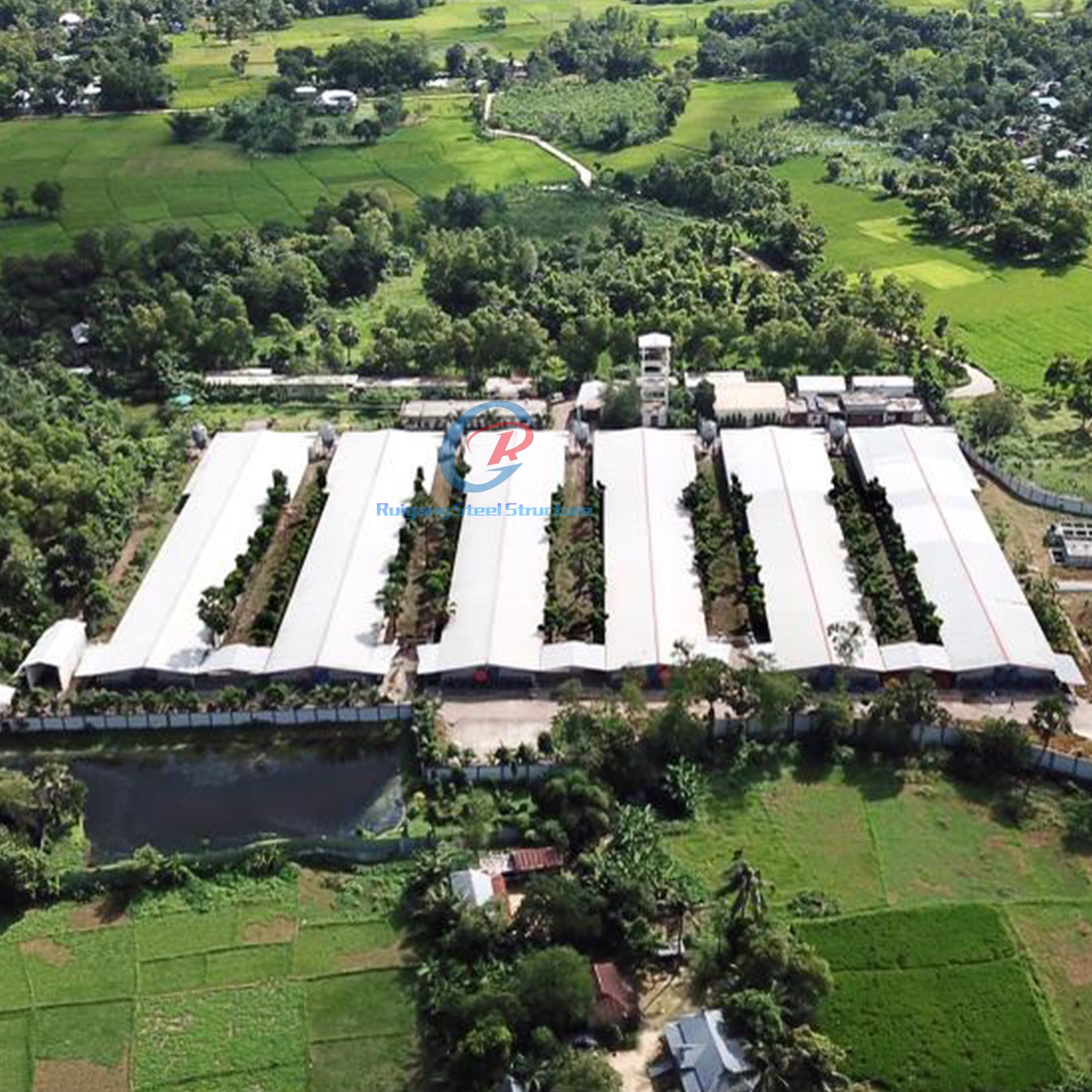 Customized Steel Structure Cow Shed Building Prefab Cattle Dairy Farm Metal Frame Sheds