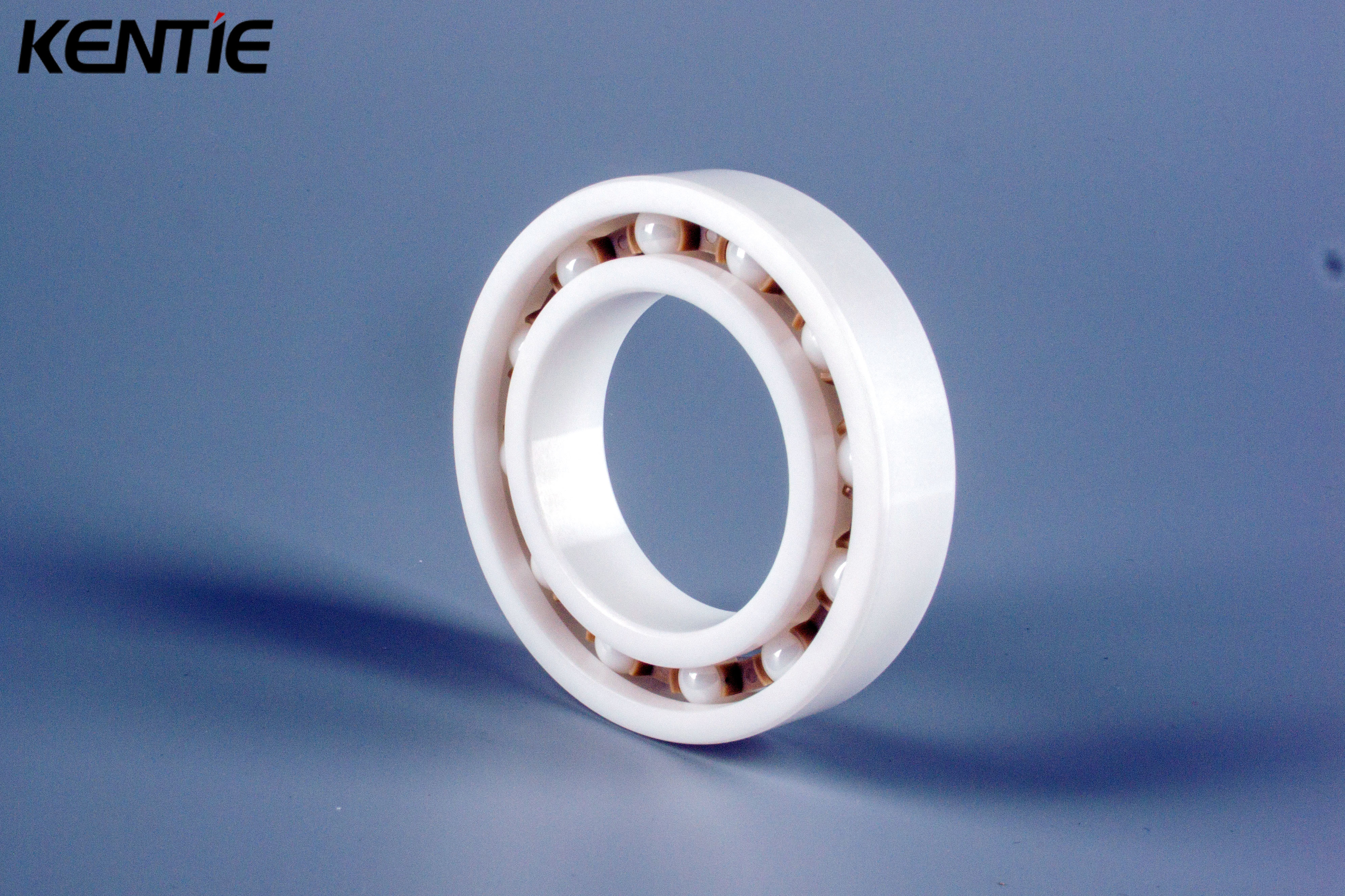 Full Ceramic deep groove ball Bearings 6900 10*22*6mm High Temperature Corrosion Resistant Bearing