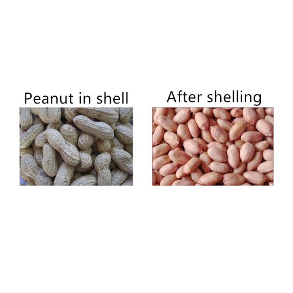 800 kg/H Peanut Shelling Machine nut shelling machine groundnut shell removing machine