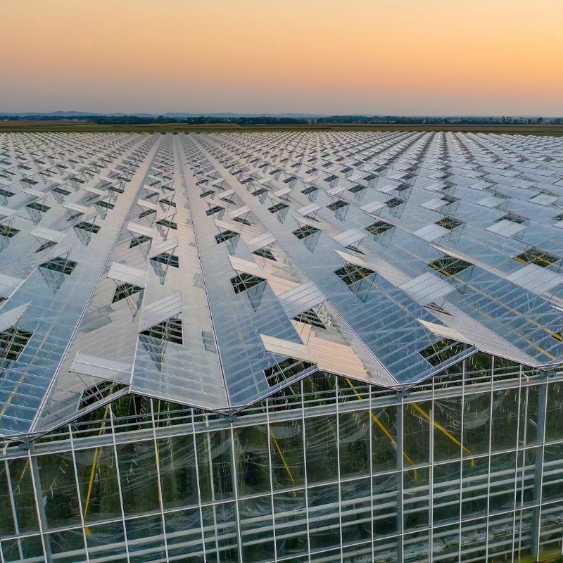 Drip Irrigation Glass Greenhouse Hydroponics System