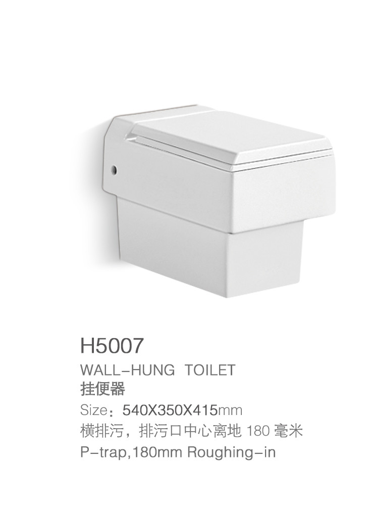 White P Trap Rimless Wall Hung Toilet Bowl One Piece With Bidet