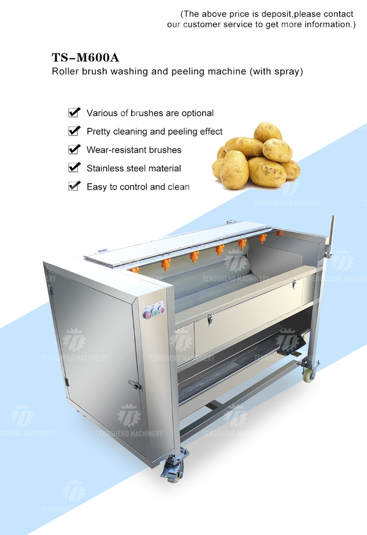 Factory direct with standard multi-functional fruit washing machine medium-sized lotus root washing radish machine