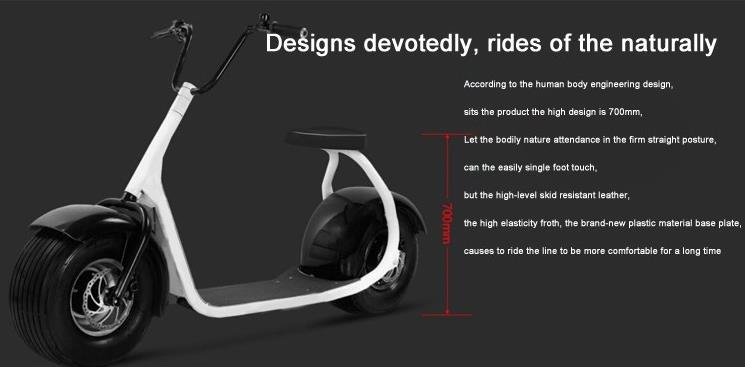 Citycoco 2000w Electric Scooter Adult With Seat 50 Mph 45 Mph EEC Approved