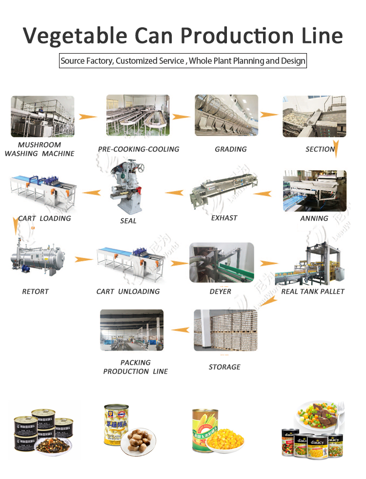 Asparagus Cutting Washing Processing Line / Broccoli Production Machine / Asparagus Processing Machinery Line