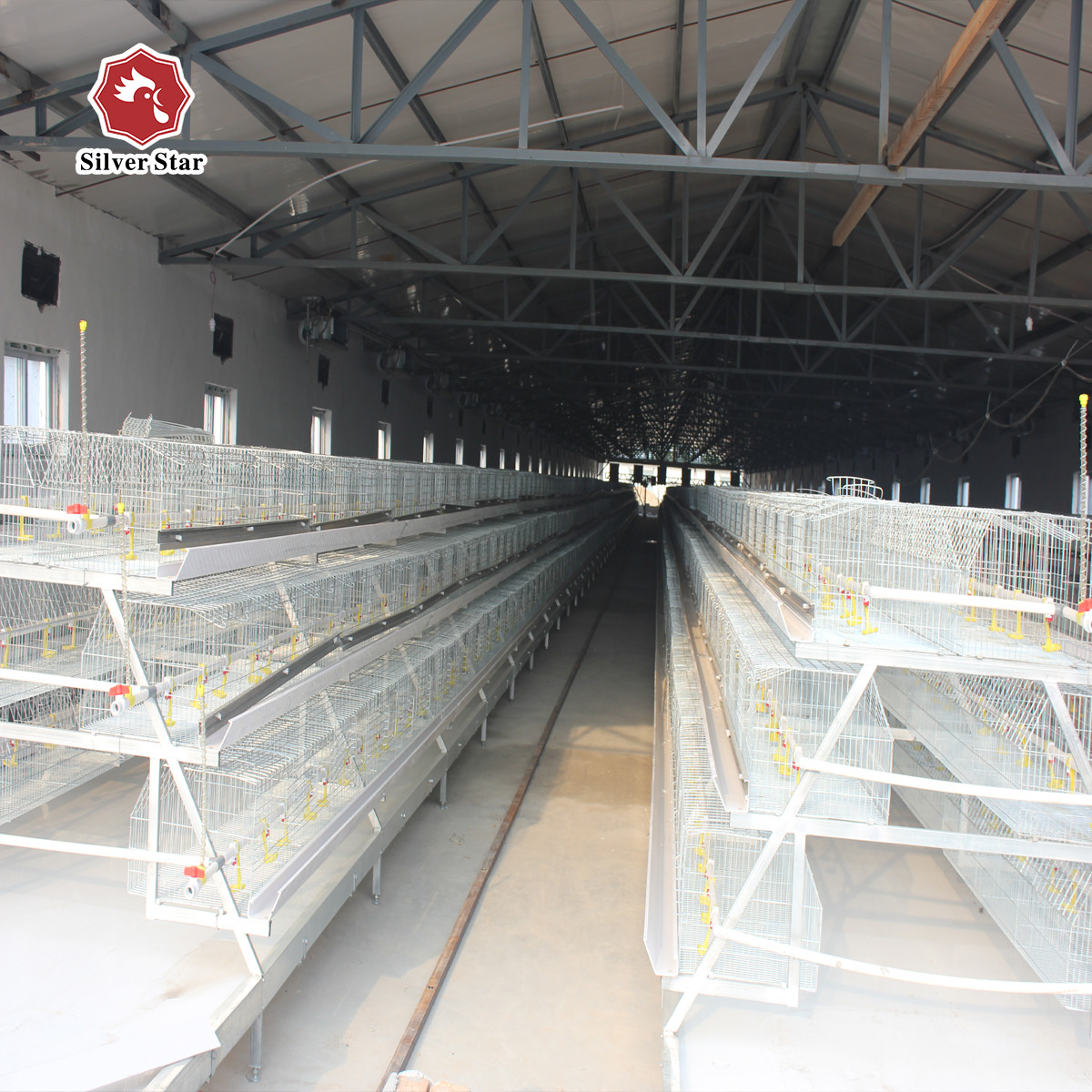A Type Battery Baby Chick Cage Manure Cleaning Eggs Collecting