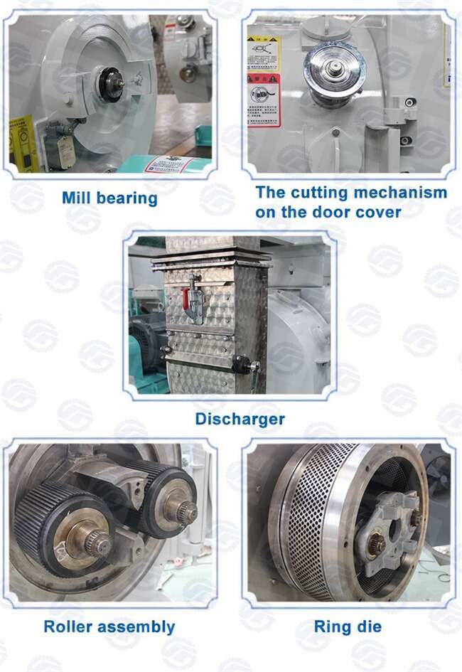 Dog Food 20KW Fish Pellet Making Machine Small Electric