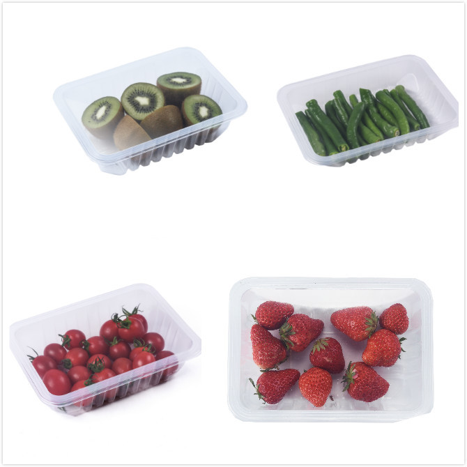 Industrial Vacuum Tray Sealing Machine Modified Atmosphere For Vegetable / Fruit