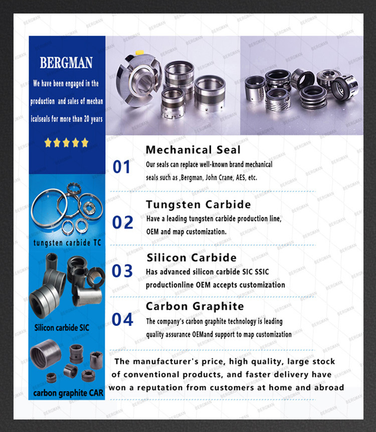 BERGMAN Replace Flygt Pump Seal FRL-60mm 2400 3200 PUMP Lower Sealing Mechanical Seal