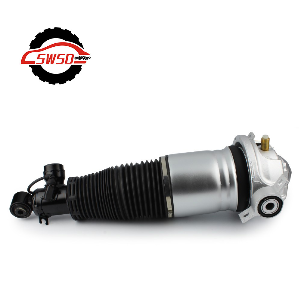 Audi Q7 7L6616020D 7L6616019D Rear Strut Shock