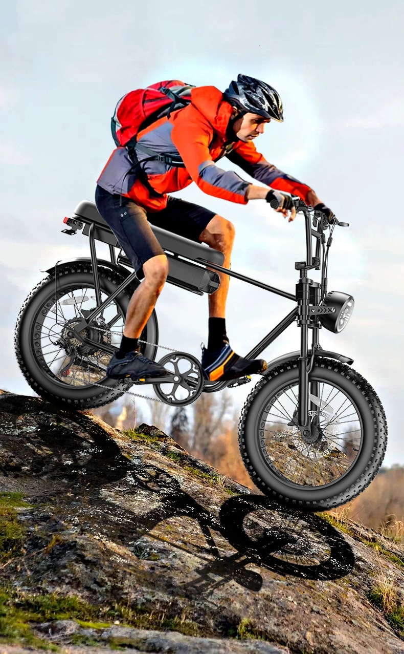 Max Speed 30-50Km/h Disc Brake Electric Fat Tire Bike 48V 400W Motor Ebike
