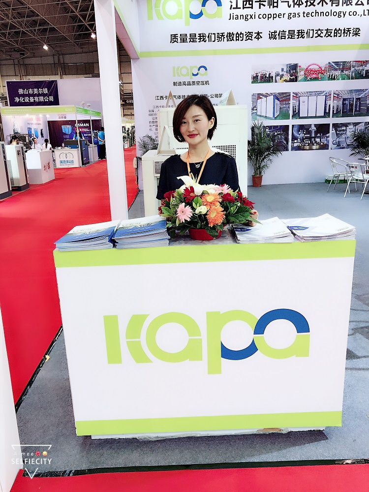 Stationary Silent Oil Free Air Compressor 0.8MPa Pressure 60HP Customizable