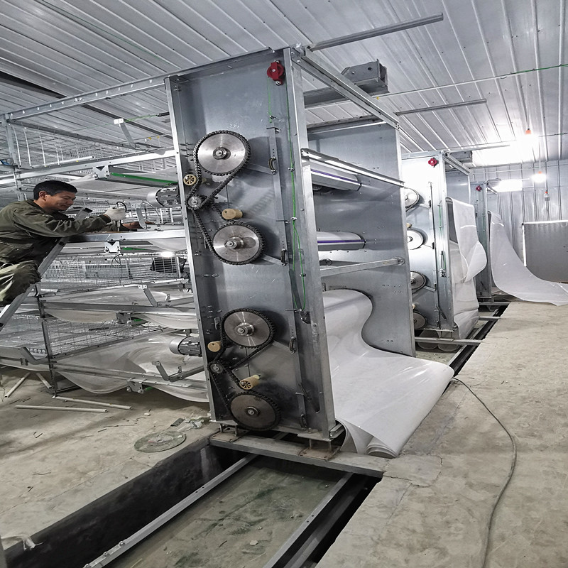 Galvanized Steel Broiler Poultry Farm Equipment H Type 10000 Birds Battery Broiler Poultry Chicken Cage
