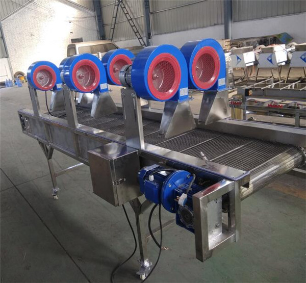small potato grading machine,cherry tomato sorting machine,cherry tomato cleaning and drying machine