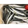 Buy cheap Seafood Health High Protein 100g 120g Frozen Round Scad from wholesalers