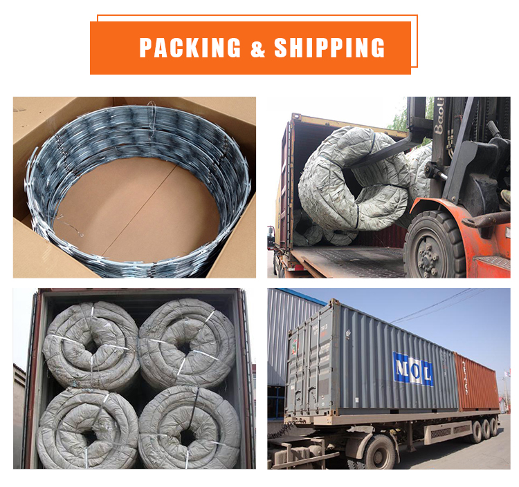 Hot Dipped Galvanized Razor Blade Fencing Wire Barbed 65mm Length CBT 65