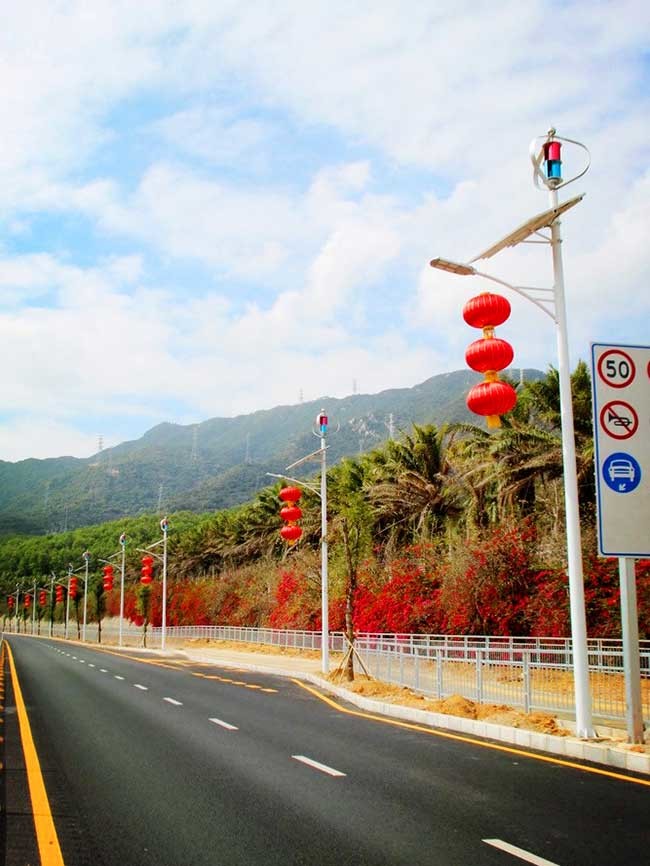 High Lumen Solar And Wind Powered Street Lights 50,000 - 100,000 Hours