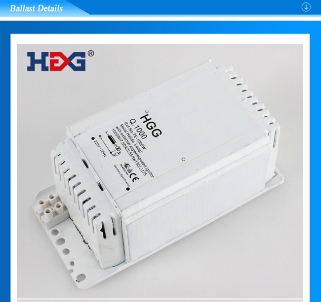 TE-B-1000W_01.jpg