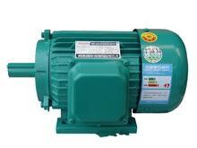Asynchronous Electrical Generator High Torque Motor Three - Phase Long Life