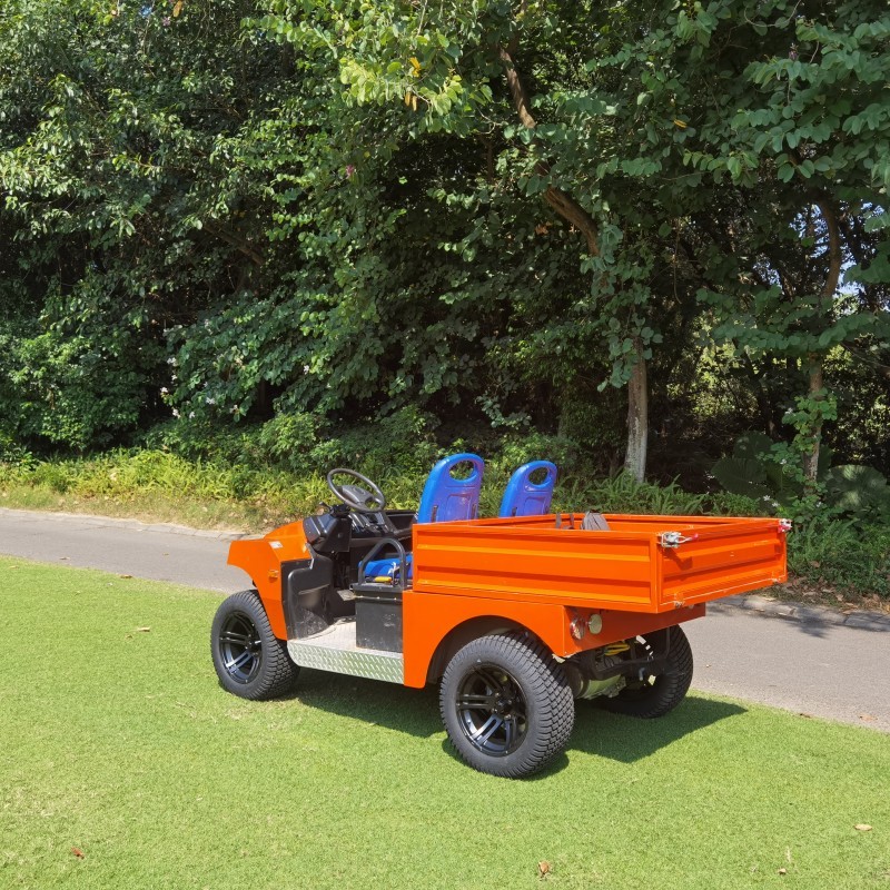1100 / 1150MM 72V Aluminum Chassis Electric Utility Buggy With Cargo