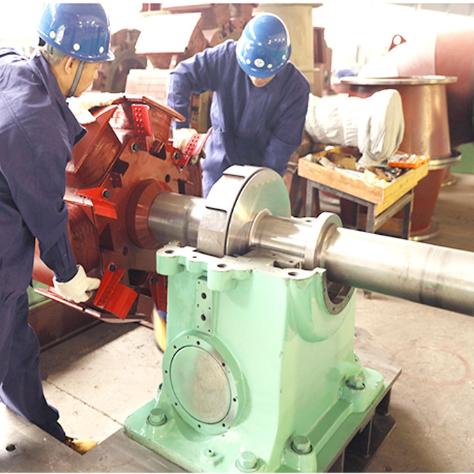 Customized 100-1000A Rated Current Pelton Turbine Generator with F Class Insulation