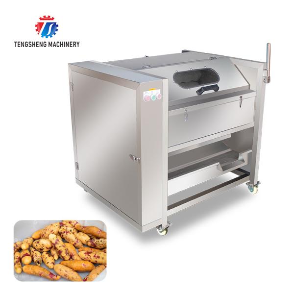 180KG Small automatic ginger washing machine Cassava peeling machine sweet