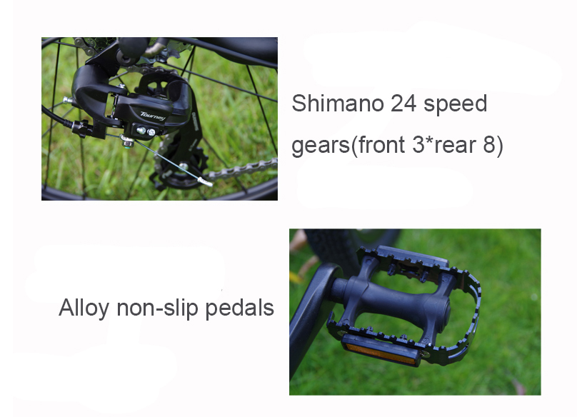 26 Inch 250W 350W Electric Mountain Bicycle 48V Lithium Battery And 24 Speed Gears