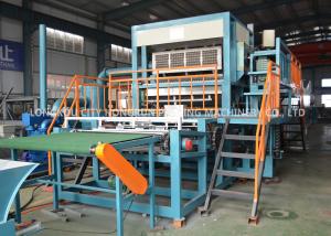 China Customized Color Pulp Egg Tray Equipment Recycled Paper Processing Machine on sale
