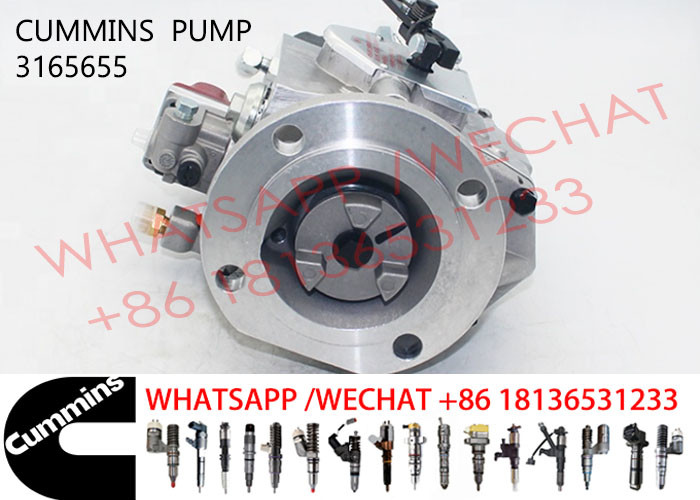 3165655 Diesel Injection Pump 3165401 4060993 3419494 3165437 3165457