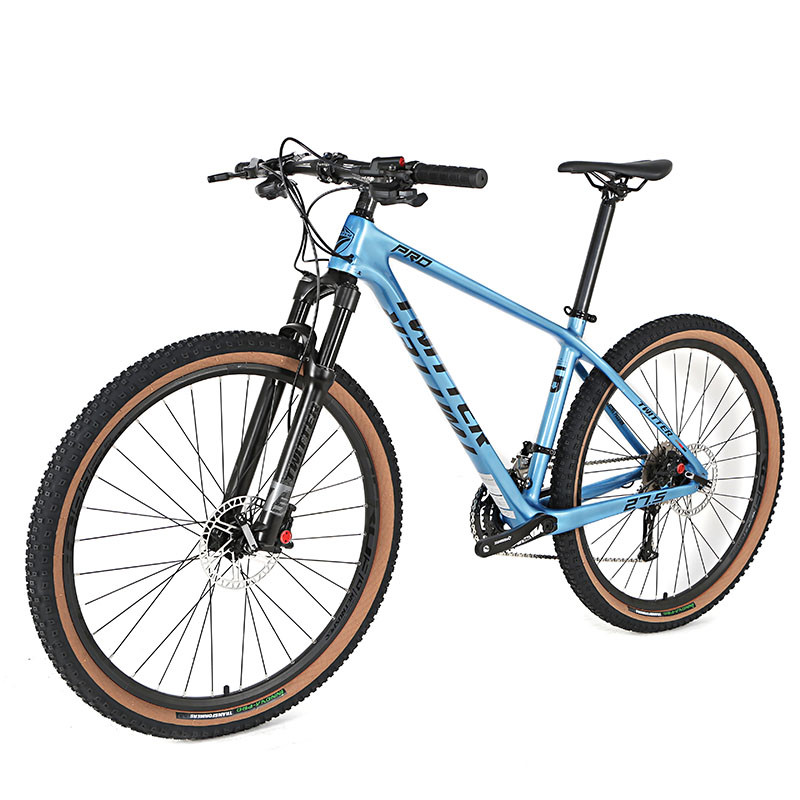 Carbon Fiber Mtb Bicycle 24S 36speed XC Riding for men