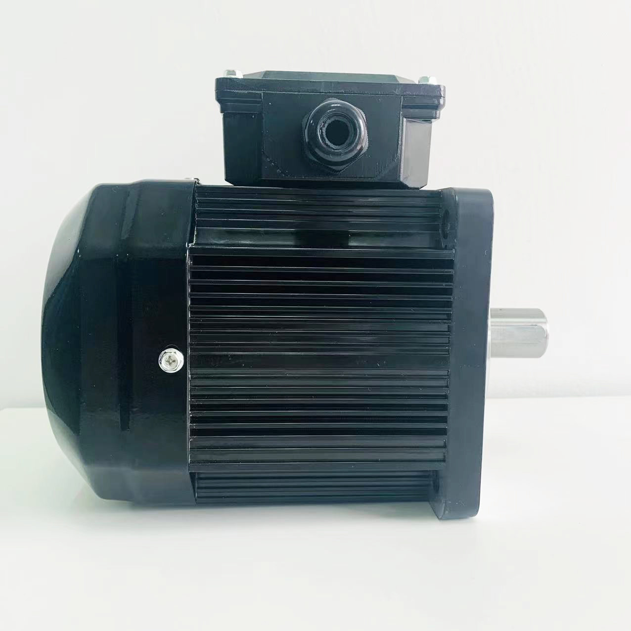 380V 4 Poles Permanent Magnet Synchronous Motor Without Gear Box