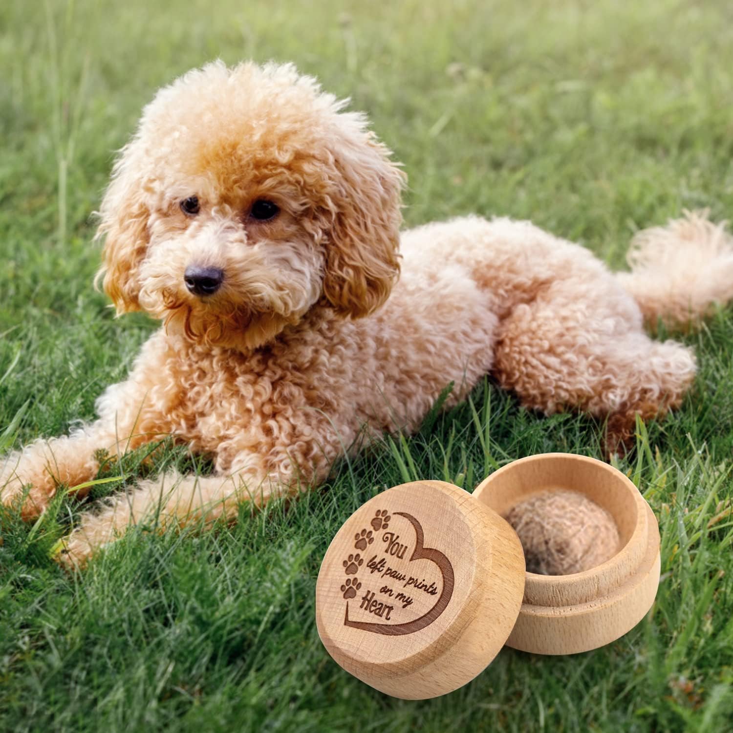 Dog Memorial Box for Loss Pet Wooden Keepsake Box with Pet Paw Engraving Hair Case Urn Memorial Gift